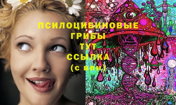 MDMA Premium VHQ Белокуриха