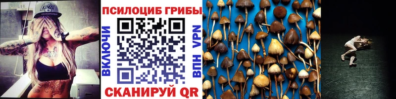 Псилоцибиновые грибы Psilocybe  mega зеркало  Бокситогорск 
