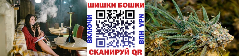Марихуана сатива  где купить наркоту  Бокситогорск 